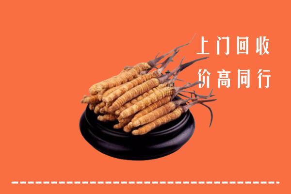 高价求购：望都县回收散虫草