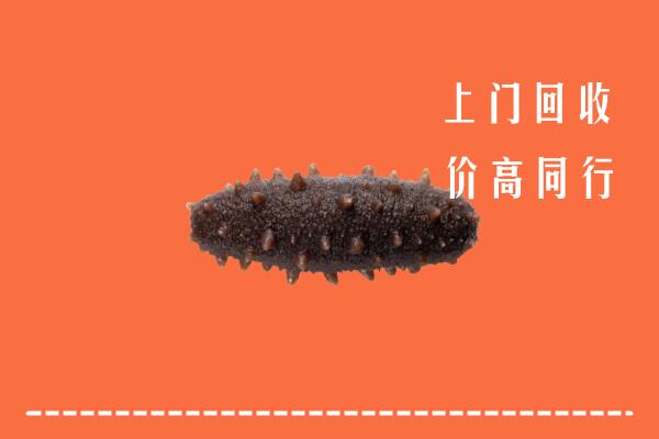 高价求购：望都县回收海参