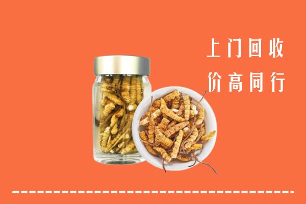 望都县回收冬虫夏草