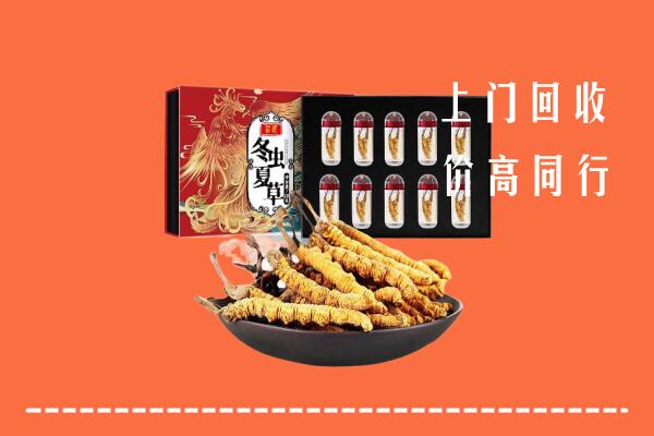 望都县回收虫草